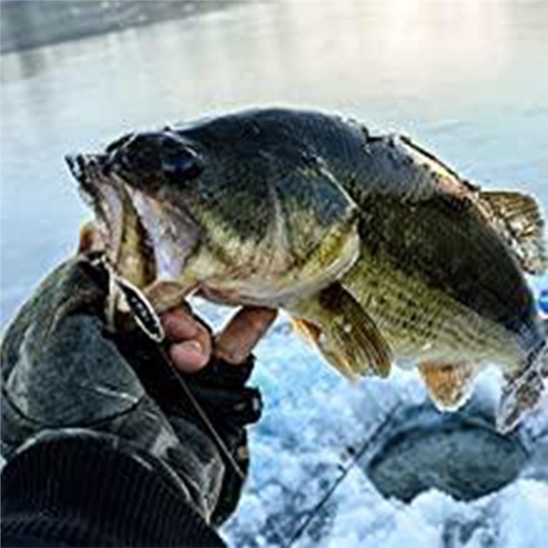 Fishing Boat Depth Finder - ABLB-Kayak Boat Fishfinder Transducer Portable Fish